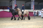 SBM_12972