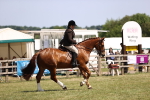 SBM_17750