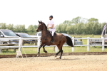 SBM_004546