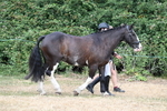 WJ7_1830