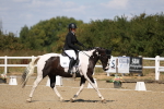 SBM_013654