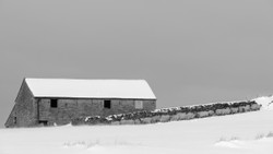 Windbreak - Peak District national park