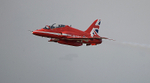 RED ARROWS 09