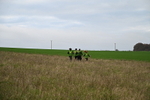 WJ7_9761