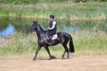 WJ7_6929