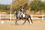SBM_016575