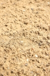 SBM_002269