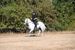 WJ6_6987