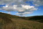 Dorset Plains  _DO024