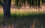 4 Seasons