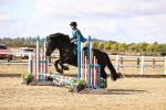 SBM_006393