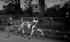 Appleby 009