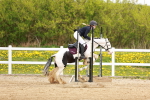 SBM_004107