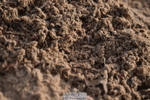 231028A-101510-00354