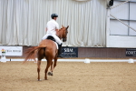 SBM_002385