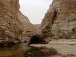 The Zin Canyon, Israel
