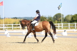 SBM_009604