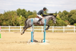 SBM_006411