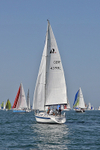 190629 FULMAR GBR4398L D43A2161