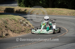 Hillclimb_02-08-2014_Kart-49