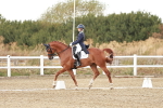 SBM_005487