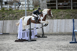 BVRC SJ 170319 737