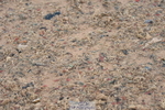 230917A-113510-06450