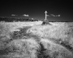 Polish War Memorial,Infrared