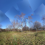 December 2019 - Arnold Arboretum - Title:  White Lines, No Words
