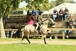 SBM_67638
