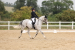 SBM_01617