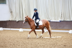 SBM_000565