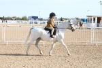 SBM_16881