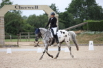 Unaffiliated Dressage portfolio