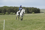 BVHT 140517  NXC -508