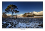 Loch Tulla, Blackmount