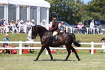 3E7A8295
