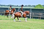 SBM_15273