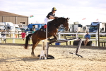 SBM_003543