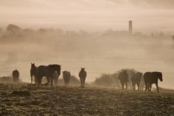 Landscape Ireland portfolio