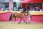 SBM_04206