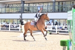 BPP_7367