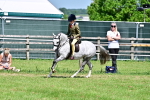 SBM_13933