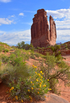 Courthouse Towers