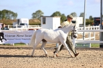 SBM_08432