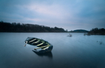 Submerged, Lough Oughter, Co Cavan
