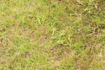 SBM_10424