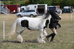 WJ6_6467