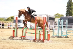 SBM_000739