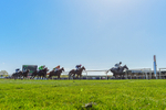 220426-Race 2-Naanas Shadow-0615